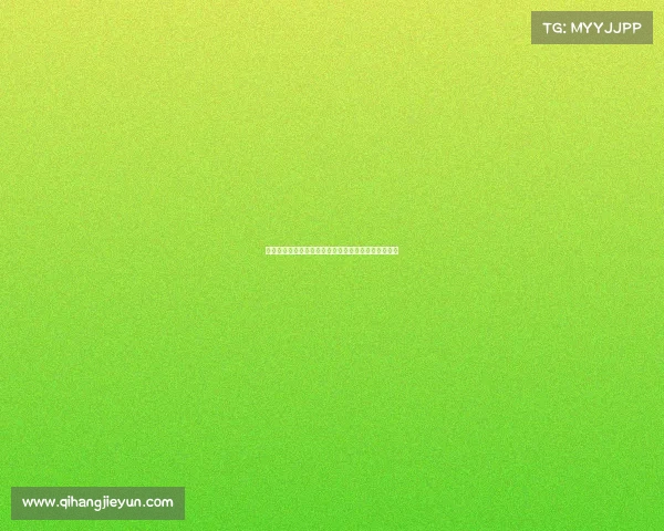 聚焦留洋计划促进青年发展助力国际化人才培养新路径